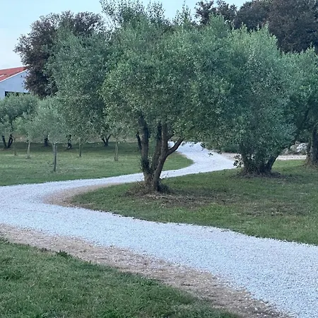 Tramonto *